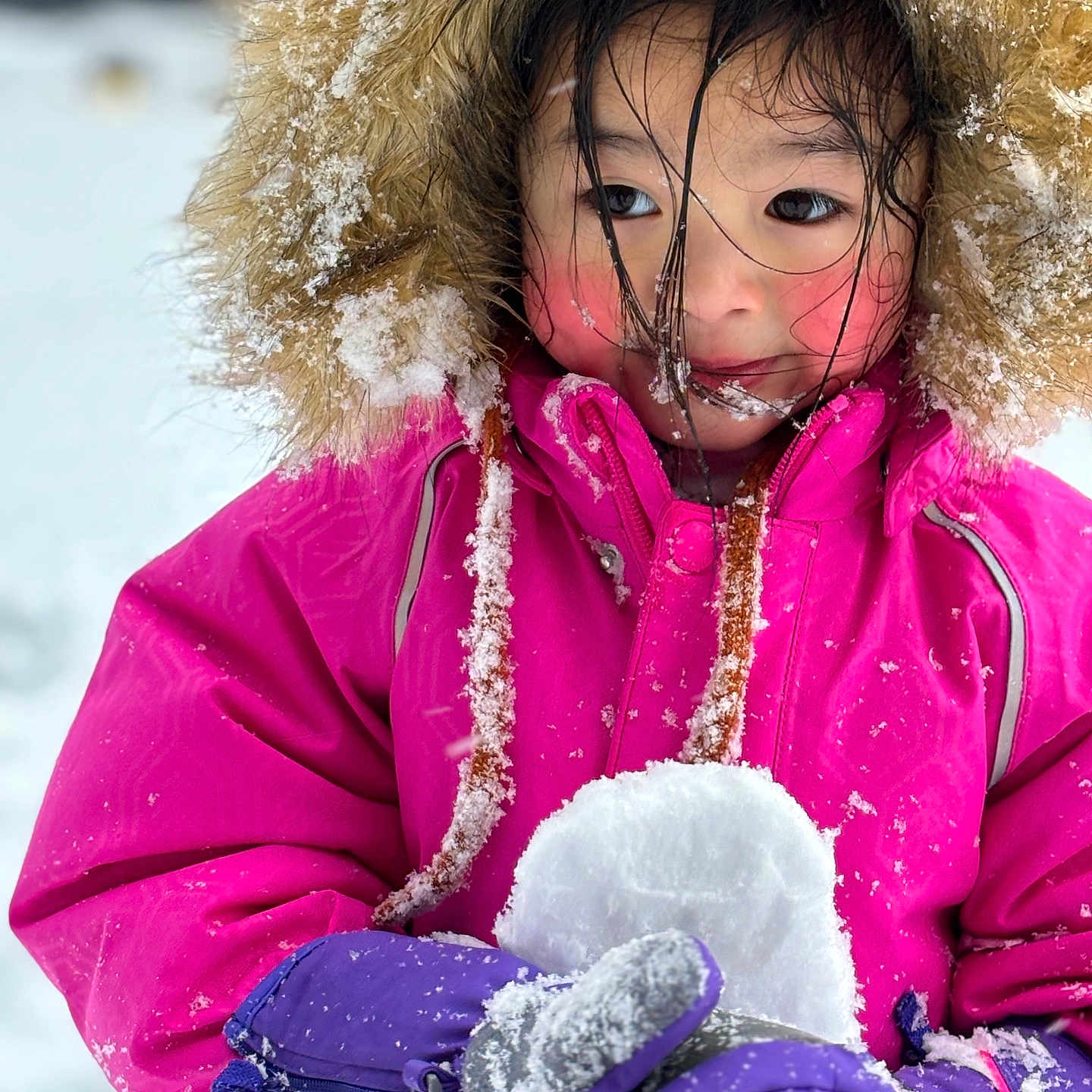 Emma joined the competition — help win amazing prizes! child, clothing, coat, face, female, girl, glove, hat, head, hood, hoodie, jacket, knitwear, nature, outdoors, person, photography, portrait, sweater, sweatshirt