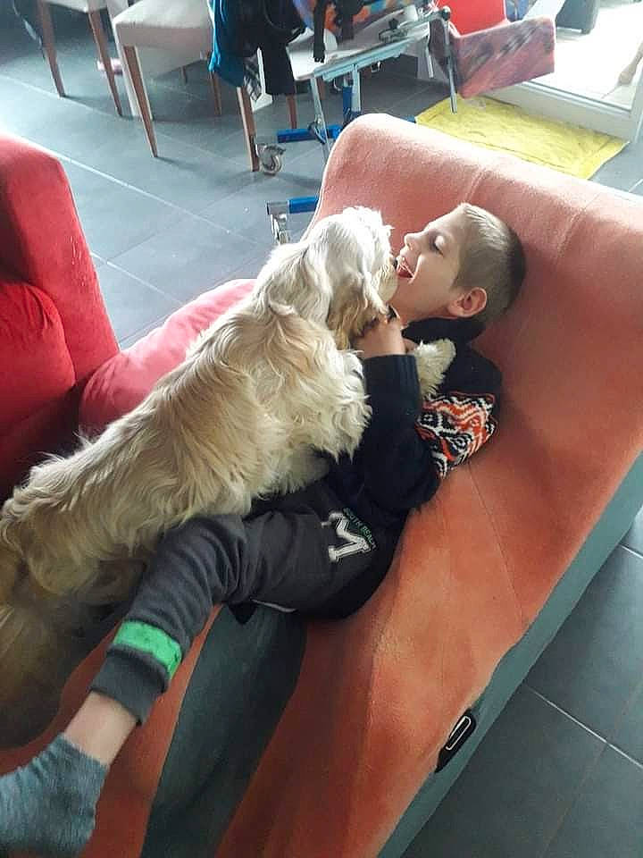 Alexis participe au concours pour gagner de l'argent avec cette photo : canidae, carnivore, chair, comfort, companion_dog, dog, dog_breed, fawn, felidae, flooring, fun, fur, human_leg, knee, lap, leisure, person, recreation, sitting, sporting_group