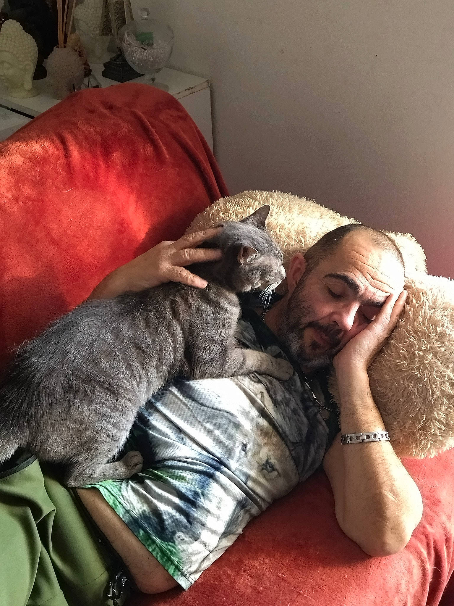 Popsy participe au concours pour gagner de l'argent avec cette photo : beard, bedding, cat, comfort, couch, domestic_short_haired_cat, felidae, flooring, fur, grey, jewellery, linens, nap, room, selfie, sitting, small_to_medium_sized_cats, tail, whiskers, wool