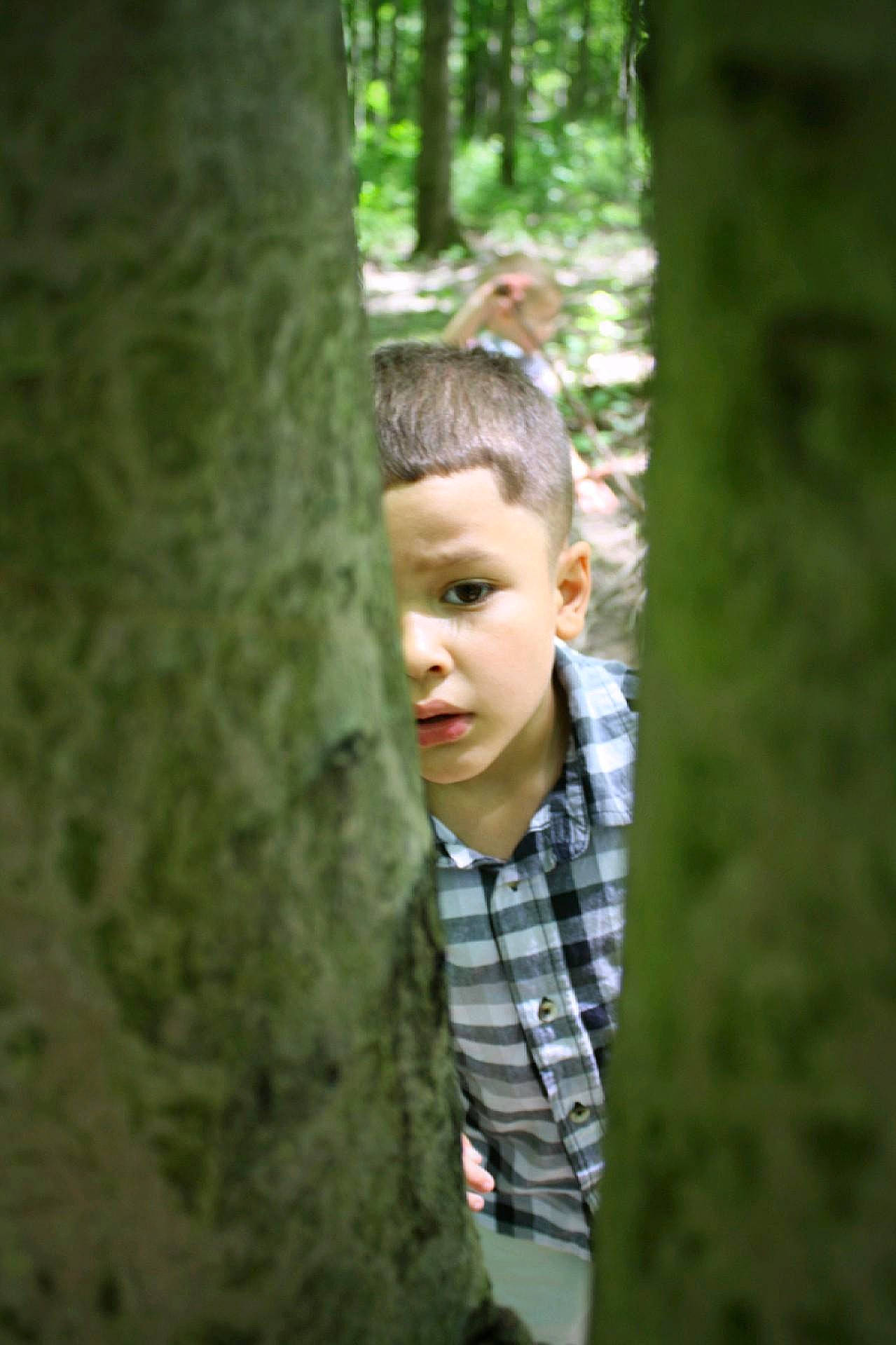 Trèvon is registered to the contest to win money with this photo: adaptation, child, forest, green, hide_and_seek, people_in_nature, person, photography, plant, toddler, tree, trunk, woodland, woody_plant