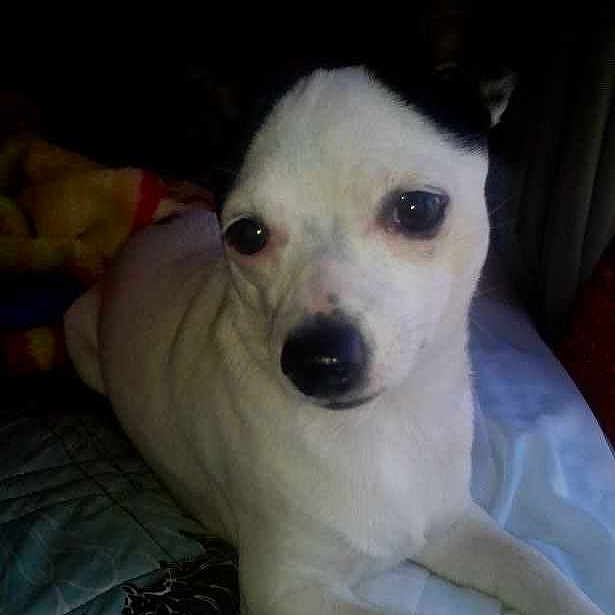 Mimi is registered to the contest to win money with this photo: