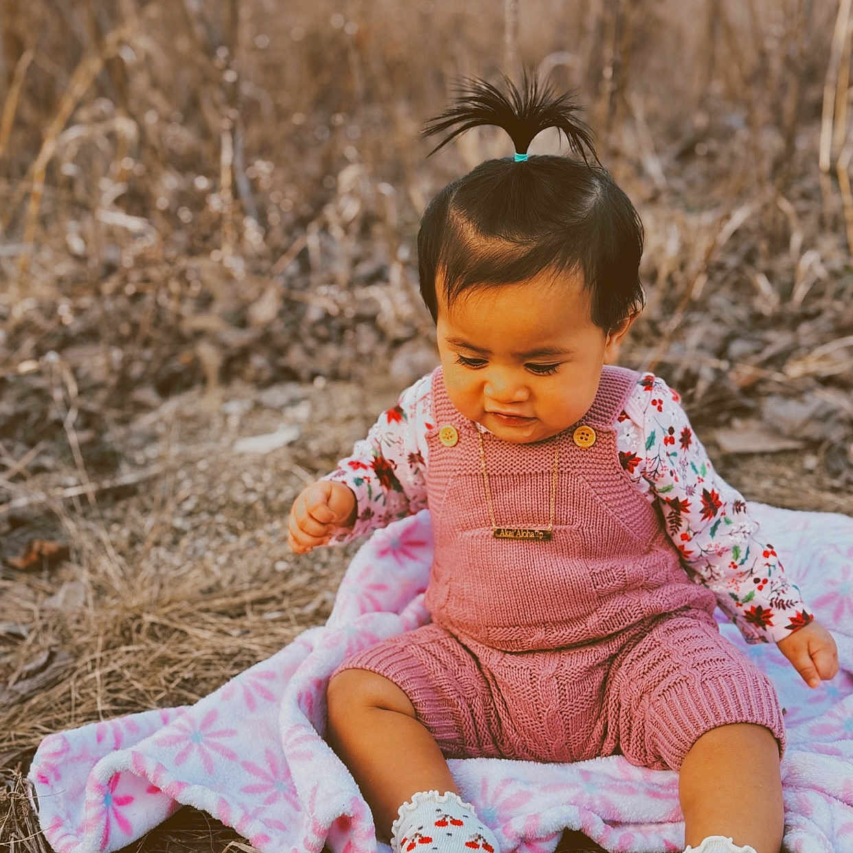 Akaialoha is registered to the contest to win money with this photo: baby, blanket, cherry_pattern, child, curious, cute, fall, grass, hair_tie, knitted, nature, outdoor, person, pink, portrait, romper, sitting, socks, toddler, young_child