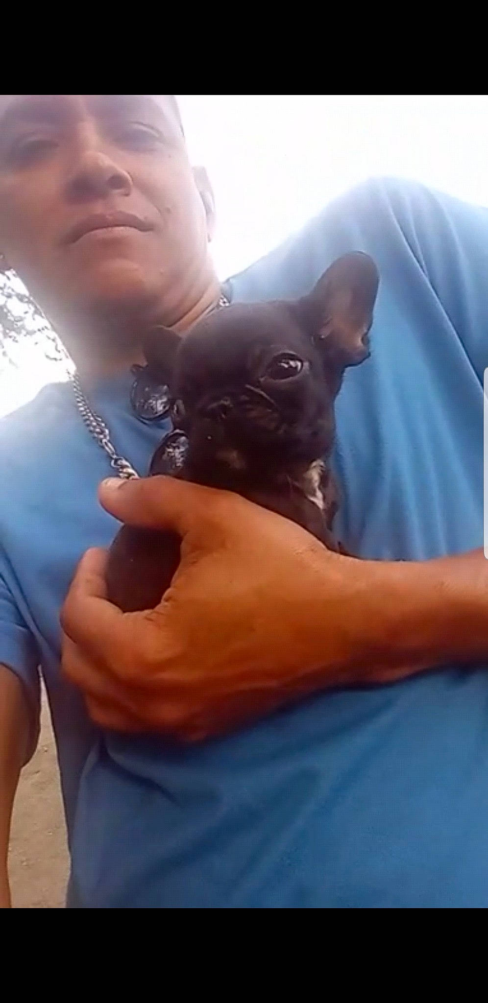 Jerry is registered to the contest to win money with this photo: canidae, carnivore, chihuahua, companion_dog, dog, dog_breed, ear, electric_blue, eyewear, fawn, gesture, happy, selfie, snout, sporting_group, t_shirt, thumb, toy_dog, whiskers, working_animal