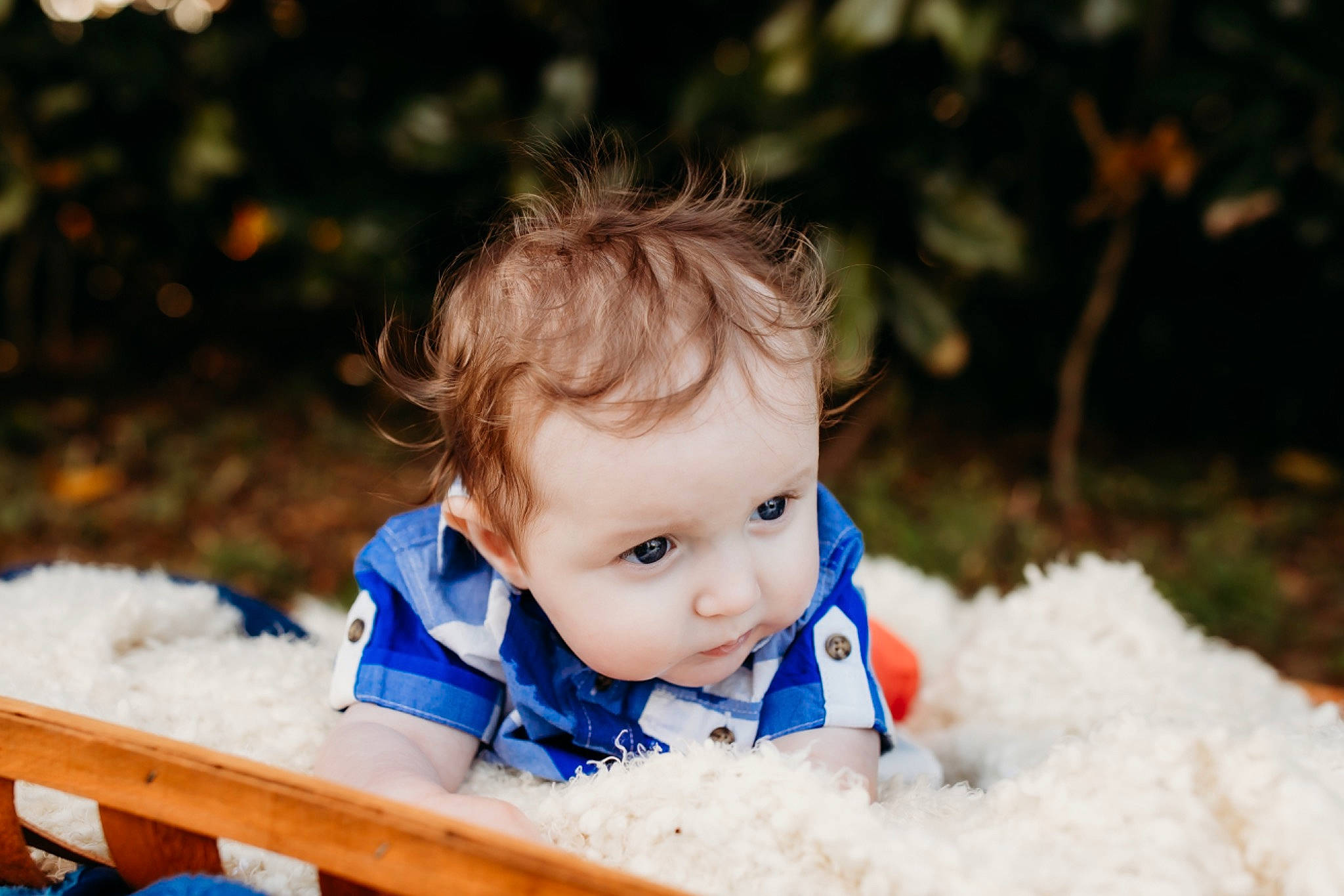 Asher joined the competition — help win amazing prizes! baby, baby_toddler_clothing, cheek, child, flash_photography, freezing, fun, grass, happy, iris, leisure, nose, people_in_nature, person, plant, smile, snow, toddler, tree, winter
