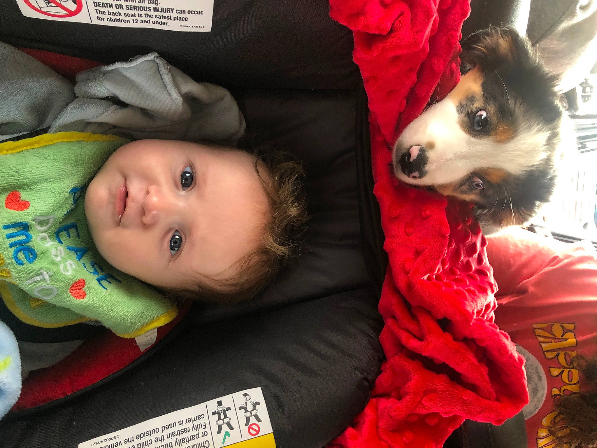 Asher is registered to the contest to win money with this photo: baby, baby_products, baby_toddler_clothing, carmine, carnivore, child, comfort, companion_dog, dog, dog_breed, dog_supply, fur, happy, mammal, person, sitting, skin, textile, toddler, toy_dog