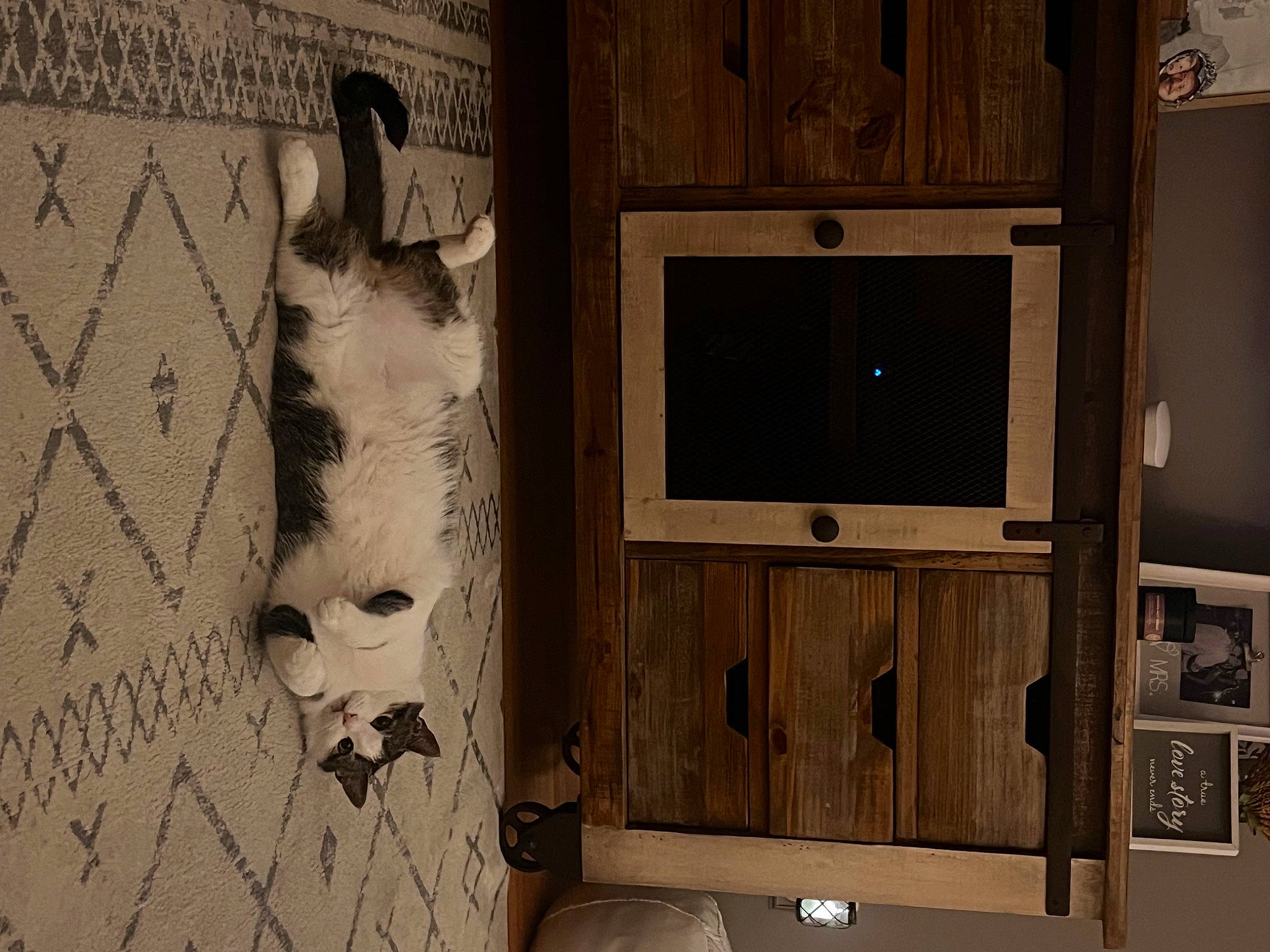 Scotch is registered to the contest to win money with this photo: art, building, cabinetry, cupboard, door, door_handle, facade, flooring, font, hardwood, house, monochrome, monochrome_photography, plywood, room, shelving, still_life_photography, visual_arts, window, wood