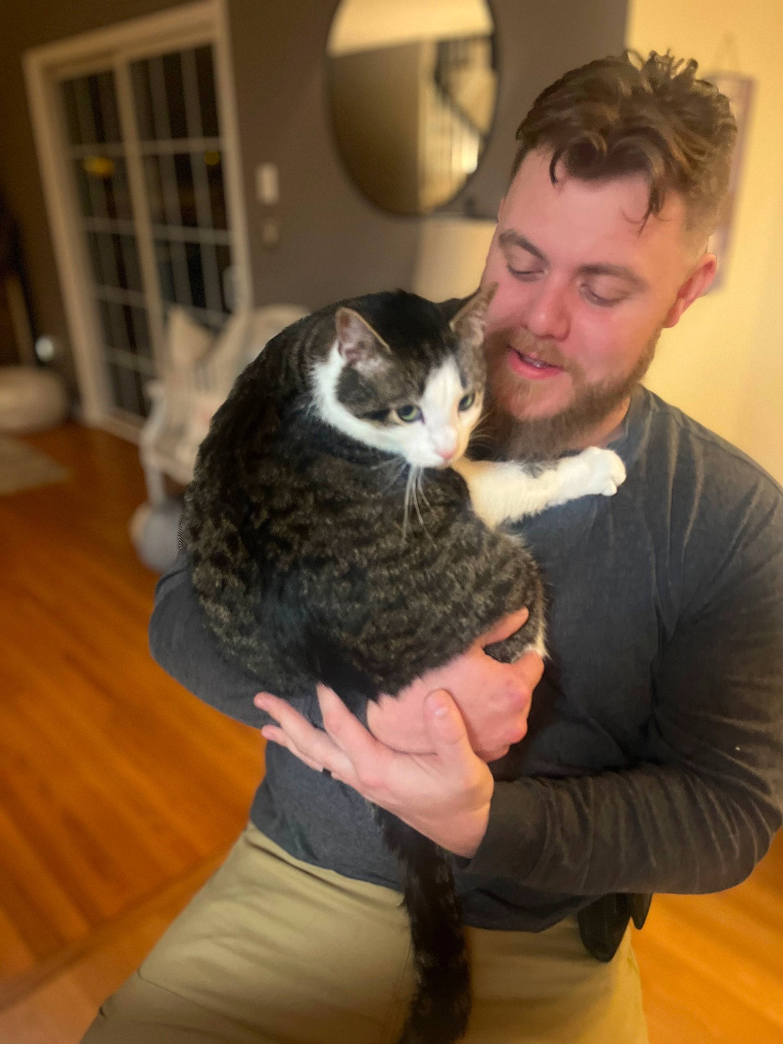 Scotchy is registered to the contest to win money with this photo: beard, cat, comfort, companion_dog, dog_breed, domestic_short_haired_cat, event, facial_hair, fawn, felidae, flooring, formal_wear, fur, gesture, lap, moustache, shoulder, small_to_medium_sized_cats, whiskers, wood