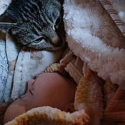 Rosie is registered to the contest to win money with this photo: baby, cat, blanket, sleeping, cozy, tabby_cat, face, closeup, indoor, soft, warm, resting, fur, child, pet, animal, comfort, snuggle, cute, peaceful