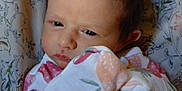 Rosie joined the competition — help win amazing prizes! newborn, baby, blanket, patterned_clothing, face, head, infant, lying_down, portrait, indoors, floral_background, sleepwear, cute, skin, person, baby_garment, resting, cozy, small_child, expression