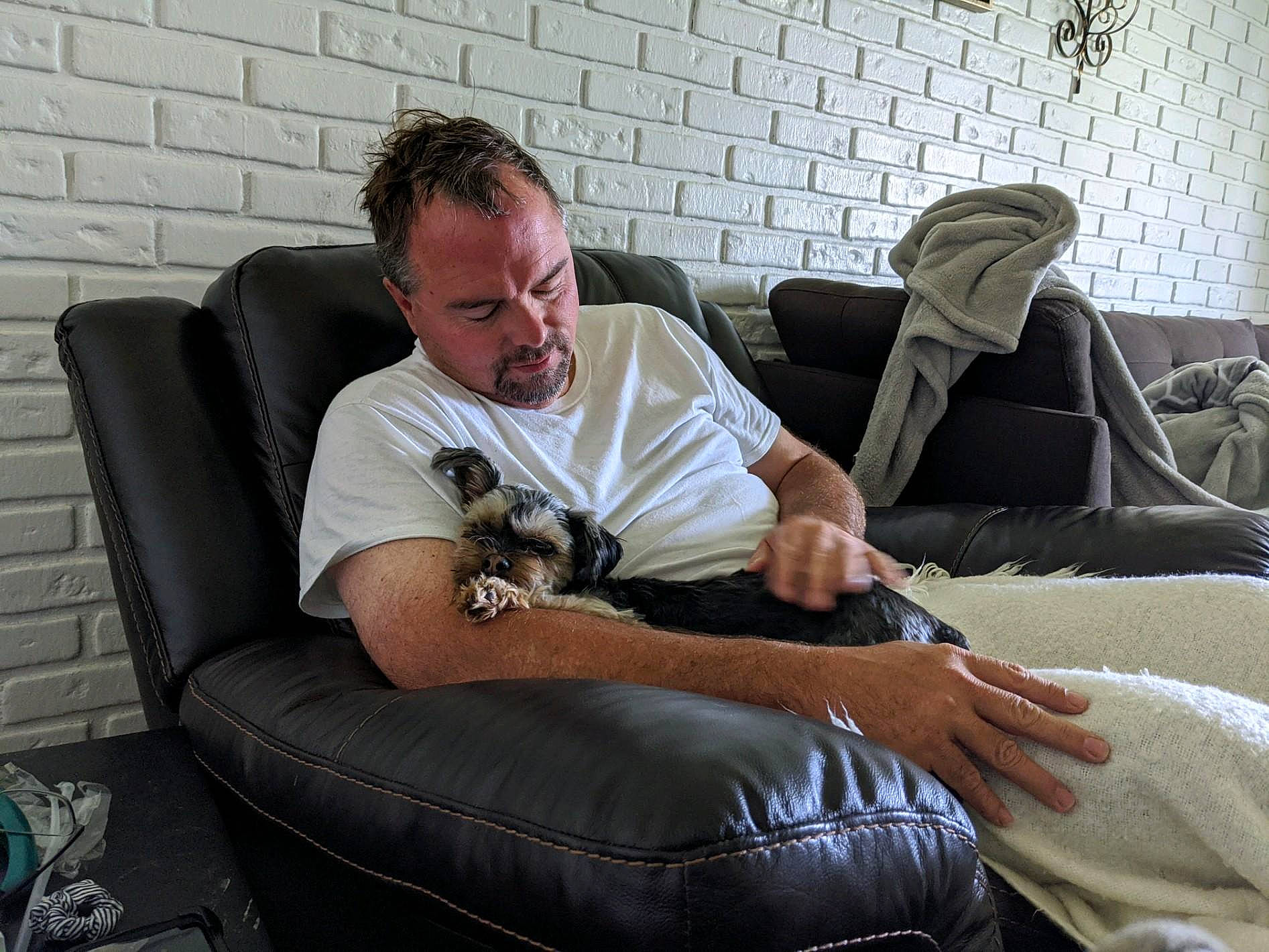 Bella joined the competition — help win amazing prizes! carnivore, comfort, companion_dog, couch, dog, dog_breed, eyewear, flooring, fun, human_body, human_leg, knee, lap, leg, leisure, living_room, shorts, sitting, sporting_group, thigh