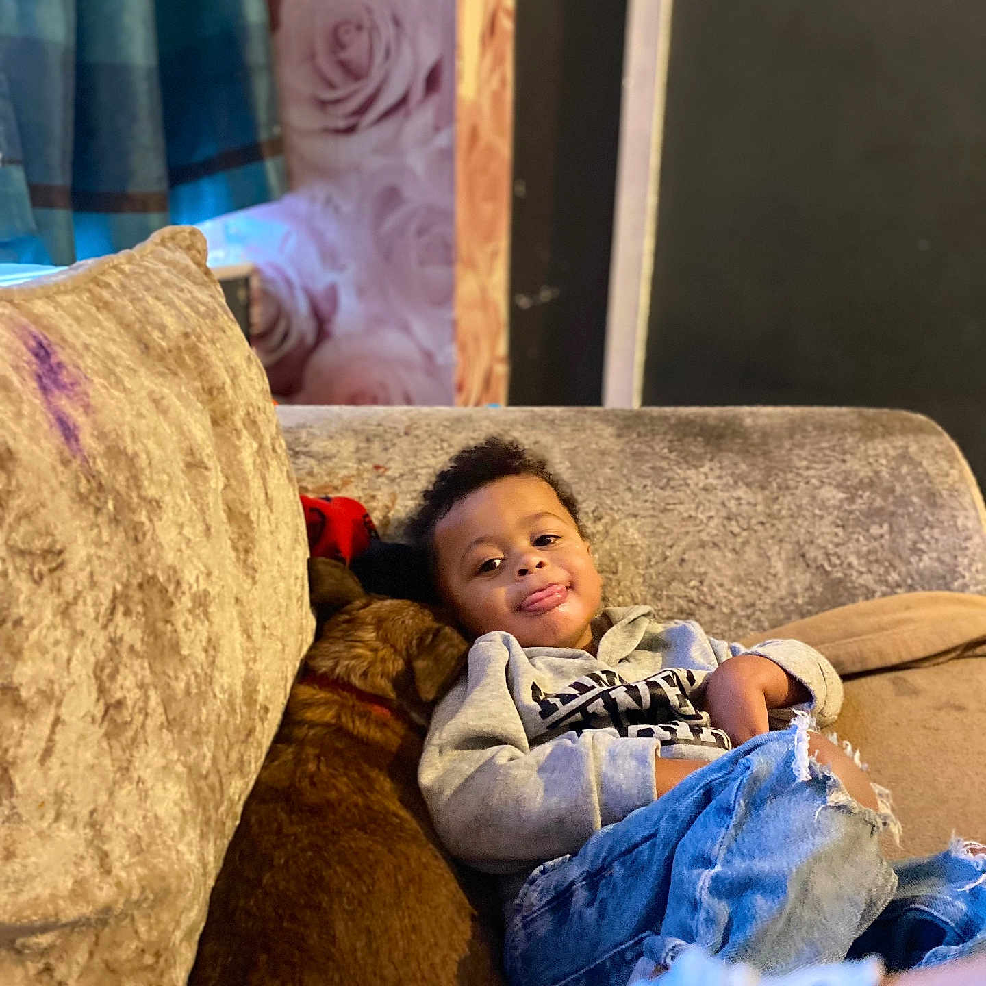 Donte is registered to the contest to win money with this photo: animal, baby, canine, clothing, couch, cushion, dog, face, furniture, happy, head, homedecor, jeans, pants, person, pet, photography, portrait, sitting, smile