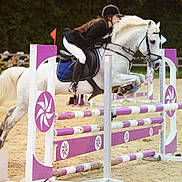 Jabadao Thébaïde a rejoint le concours — aidez-le/la à gagner de superbes lots !