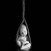 Simon a rejoint le concours — aidez-le/la à gagner de superbes lots ! newborn, baby, sleeping, wrapped, fabric, sling, black_background, portrait, infant, peaceful, soft, delicate, cute, child, resting, monochrome, studio, cozy, tiny_feet, hands