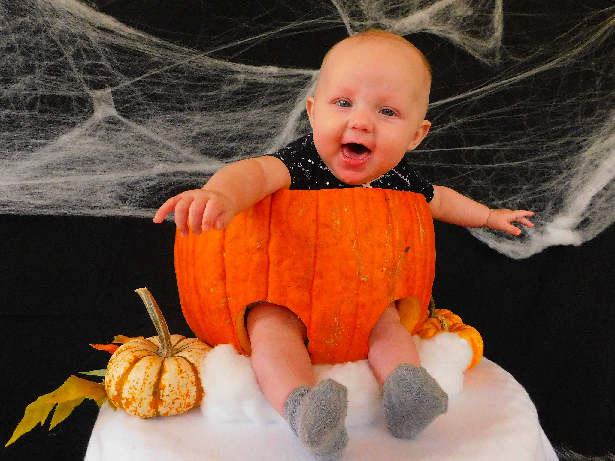 Hazel joined the competition — help win amazing prizes! _and_melon_family, _gourd, baby, calabaza, child, cucumber, cucurbita, eye, face, food, fruit, gourd, head, orange, person, plant, pumpkin, smile, squash, toddler