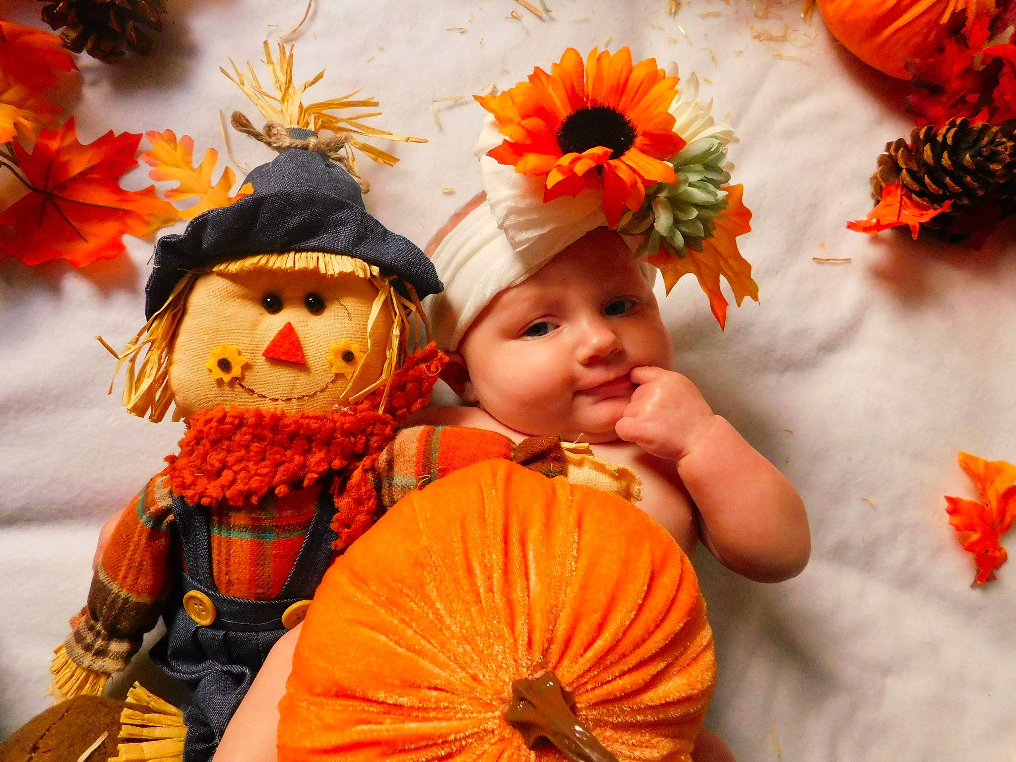 Hazel joined the competition — help win amazing prizes! autumn, calabaza, child, gourd, headwear, orange, person, plant, pumpkin, tradition, trick_or_treat, winter_squash