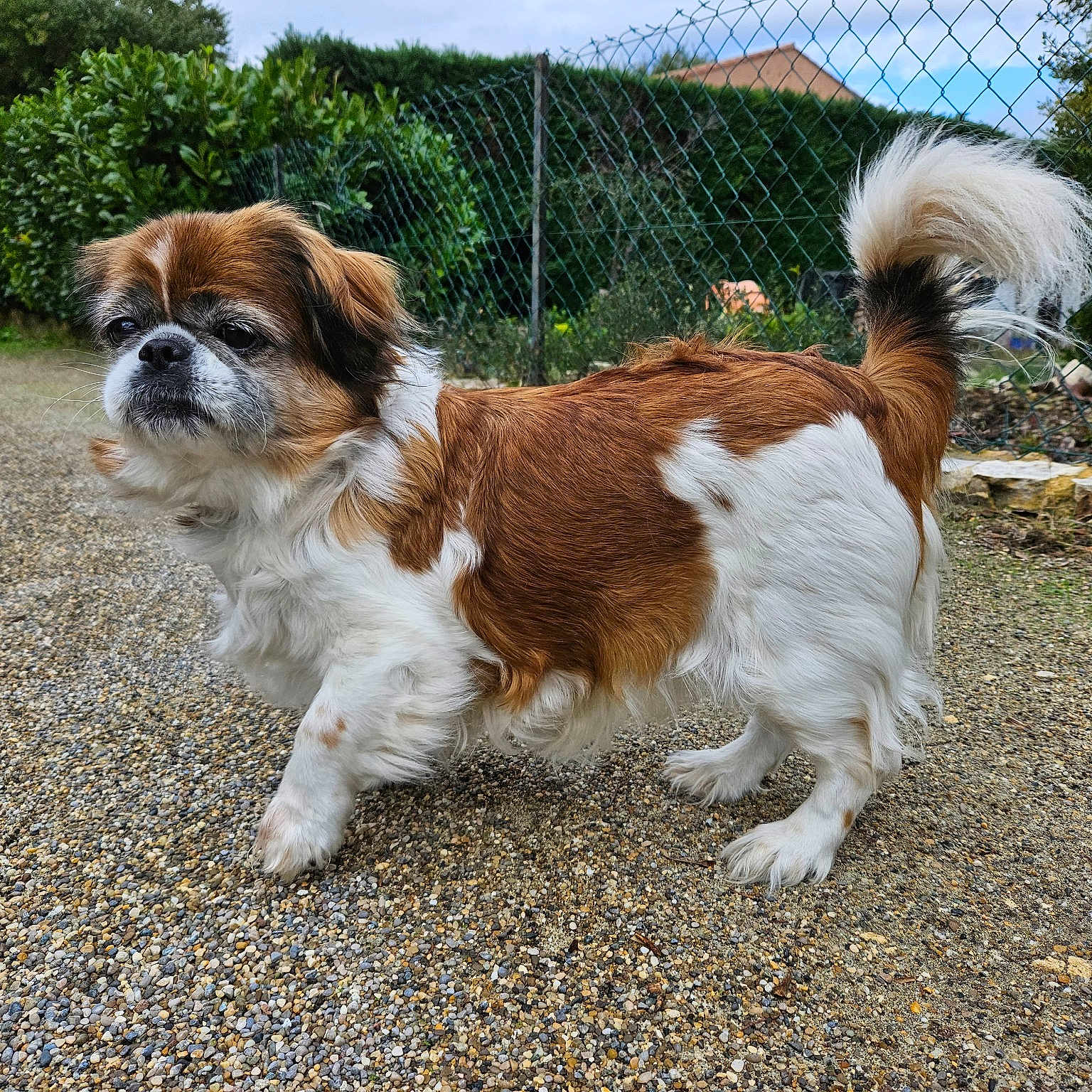 Zoé