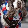 animal, blue, canine, closeup, curly_hair, cute, decorated, dog, domestic_animal, ears, expression, floral_garland, fur, leash, muzzle, outdoor, pet, portrait, red, white