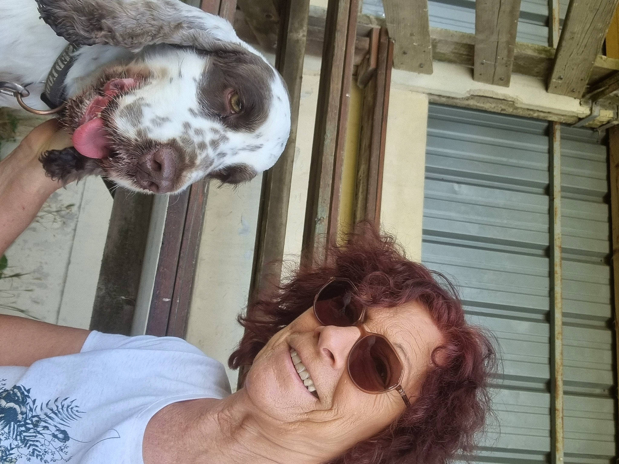 Pollux participe au concours pour gagner de l'argent avec cette photo : brown_hair, carnivore, chest, companion_dog, dog_breed, ear, elbow, eyelash, eyewear, fun, gesture, glasses, happy, jaw, organ, sunglasses, throat, vision_care, window, wrist