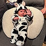 baby, infant, cow_onesie, costume, couch, cushion, toddler, hand, face, smiling, clothing, indoor, person, fabric, soft_toy, cute, resting, comfort, home, waving