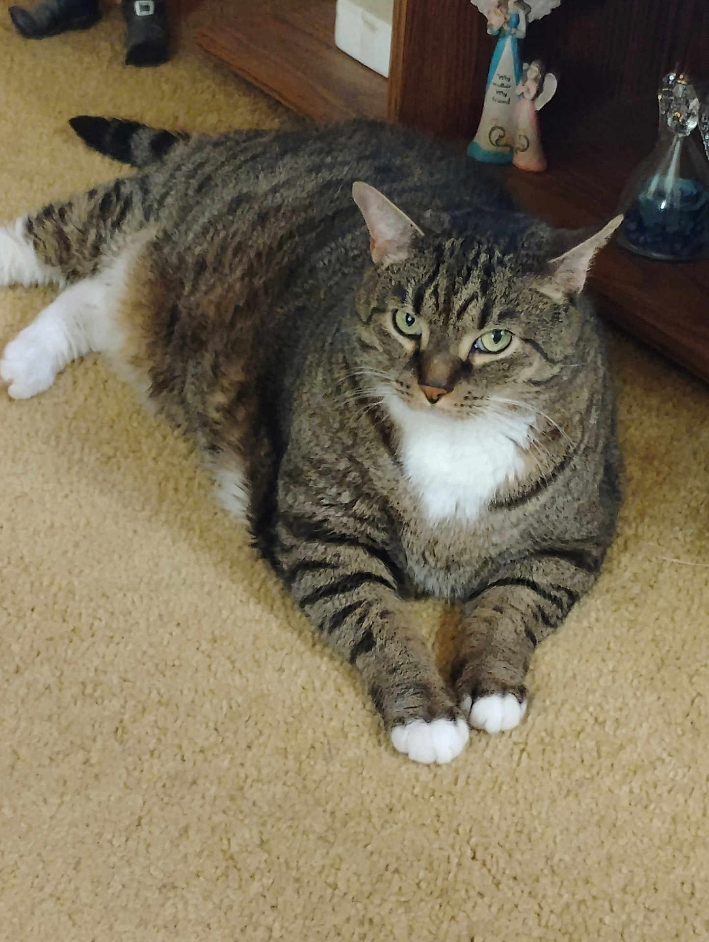 Buddy