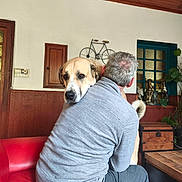 Hades a rejoint le concours — aidez-le/la à gagner de superbes lots ! back_view, casual_clothing, cozy, dog, embrace, friendly, furniture, gray_sweater, home, indoor, man, pet, plant, red_couch, relaxing, table, trunk, wall_art, window, wooden_paneling