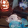 Blanca Bleu joined the competition — help win amazing prizes! dog, white_dog, fairy_wings, pumpkin, carved_pumpkin, jack_o_lantern, leather_chair, halloween, candy, bowl, decorations, wooden_floor, indoor, spooky, holiday, costume, pet, skull_design, colorful, festive