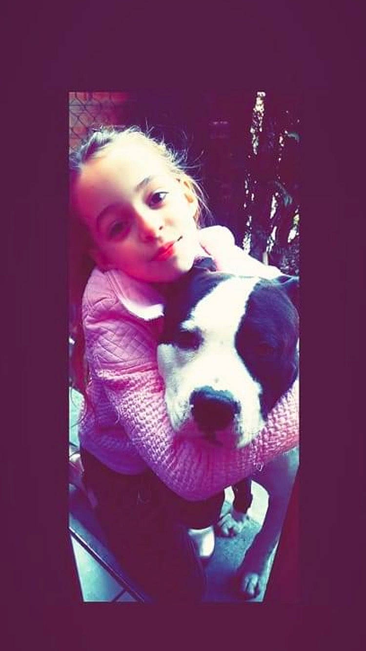 Ilona a rejoint le concours — aidez-le/la à gagner de superbes lots ! carnivore, companion_dog, darkness, dog, dog_breed, dog_collar, eyewear, fawn, fictional_character, flash_photography, fur, happy, magenta, person, photo_caption, puppy_love, selfie, sporting_group, suit, t_shirt