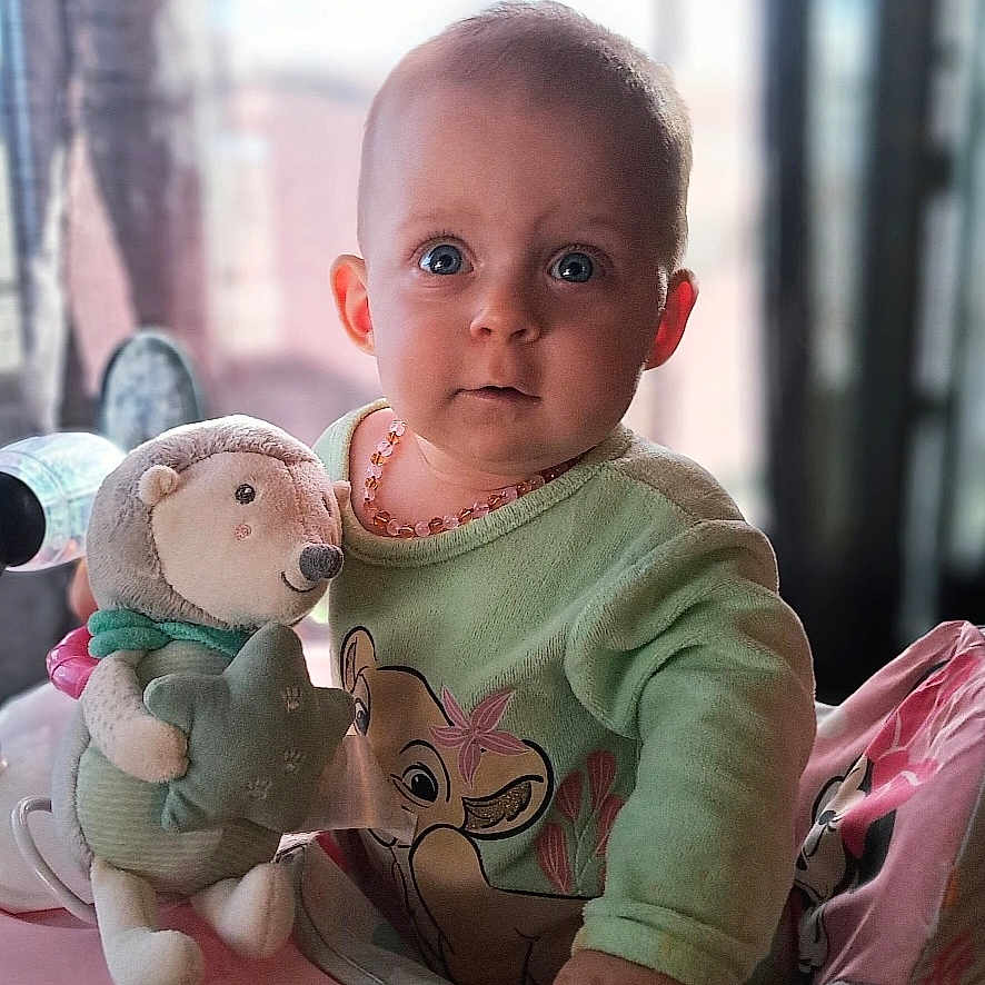 𝑇𝑦𝑎𝑛𝑎 participe au concours pour gagner de l'argent avec cette photo : baby, baby_chair, child, curious_expression, cute, daylight, face, green_clothing, hand, hedgehog, indoor, infant, necklace, onesie, person, plush_toy, portrait, seated, soft_toy, window