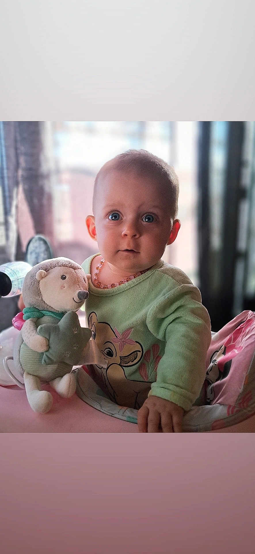 𝑇𝑦𝑎𝑛𝑎 participe au concours pour gagner de l'argent avec cette photo : baby, child, plush_toy, hedgehog, onesie, green_clothing, necklace, baby_chair, indoor, window, curious_expression, soft_toy, infant, portrait, hand, cute, seated, daylight, face, person