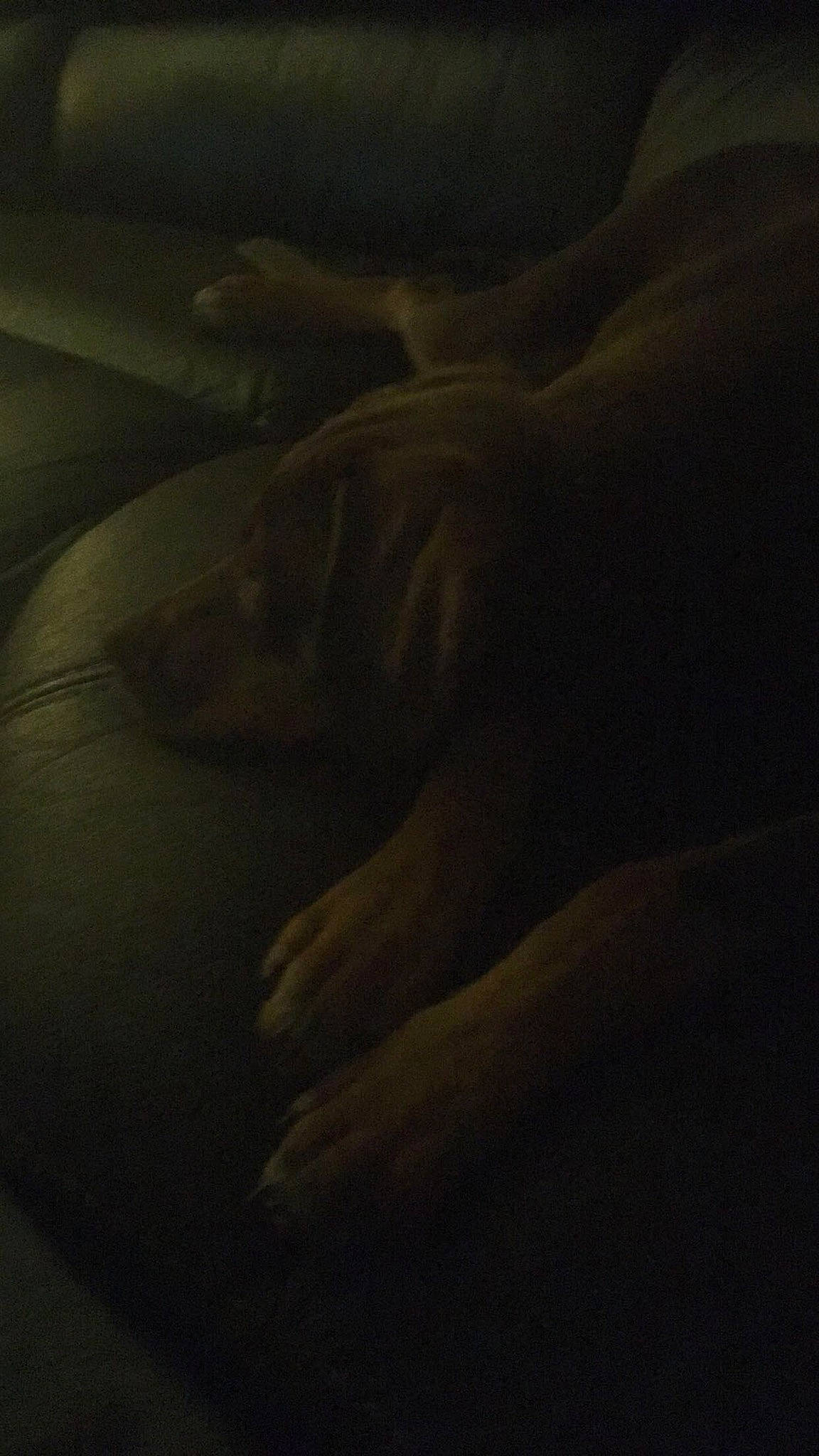 Lena is registered to the contest to win money with this photo: art, atmosphere, black, brown, cloud, darkness, hand, light, meteorological_phenomenon, muscle, night, photography, plant, sky, tints_and_shades, tree, wood, yellow