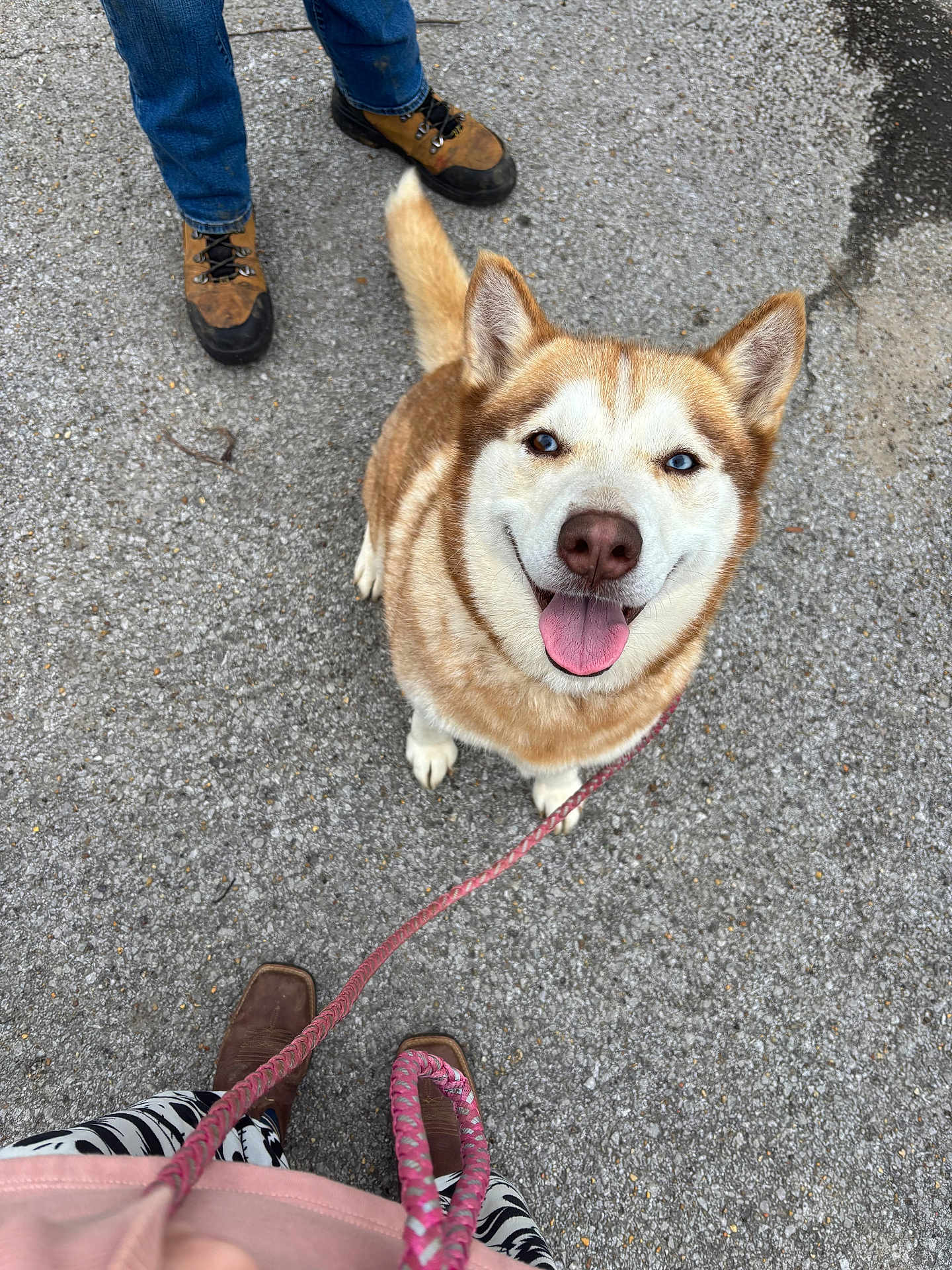 Dakota