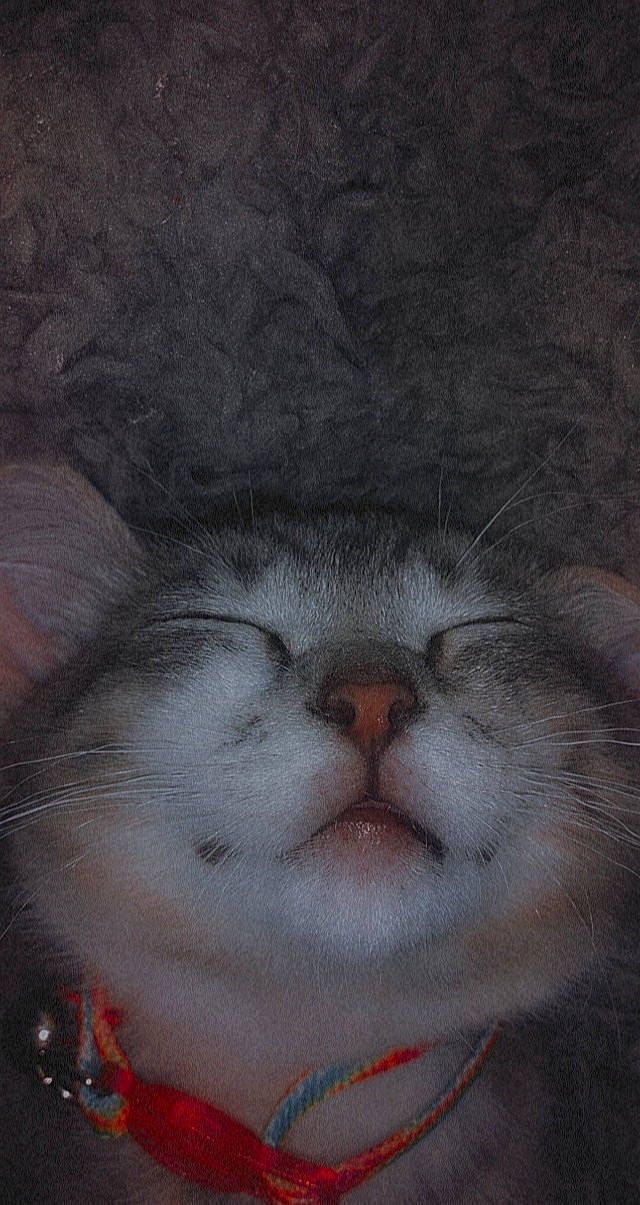 Mittens joined the competition — help win amazing prizes! art, carnivore, cat, comfort, domestic_short_haired_cat, drawing, felidae, fur, nap, painting, paw, sleep, small_to_medium_sized_cats, snout, tail, terrestrial_animal, visual_arts, whiskers