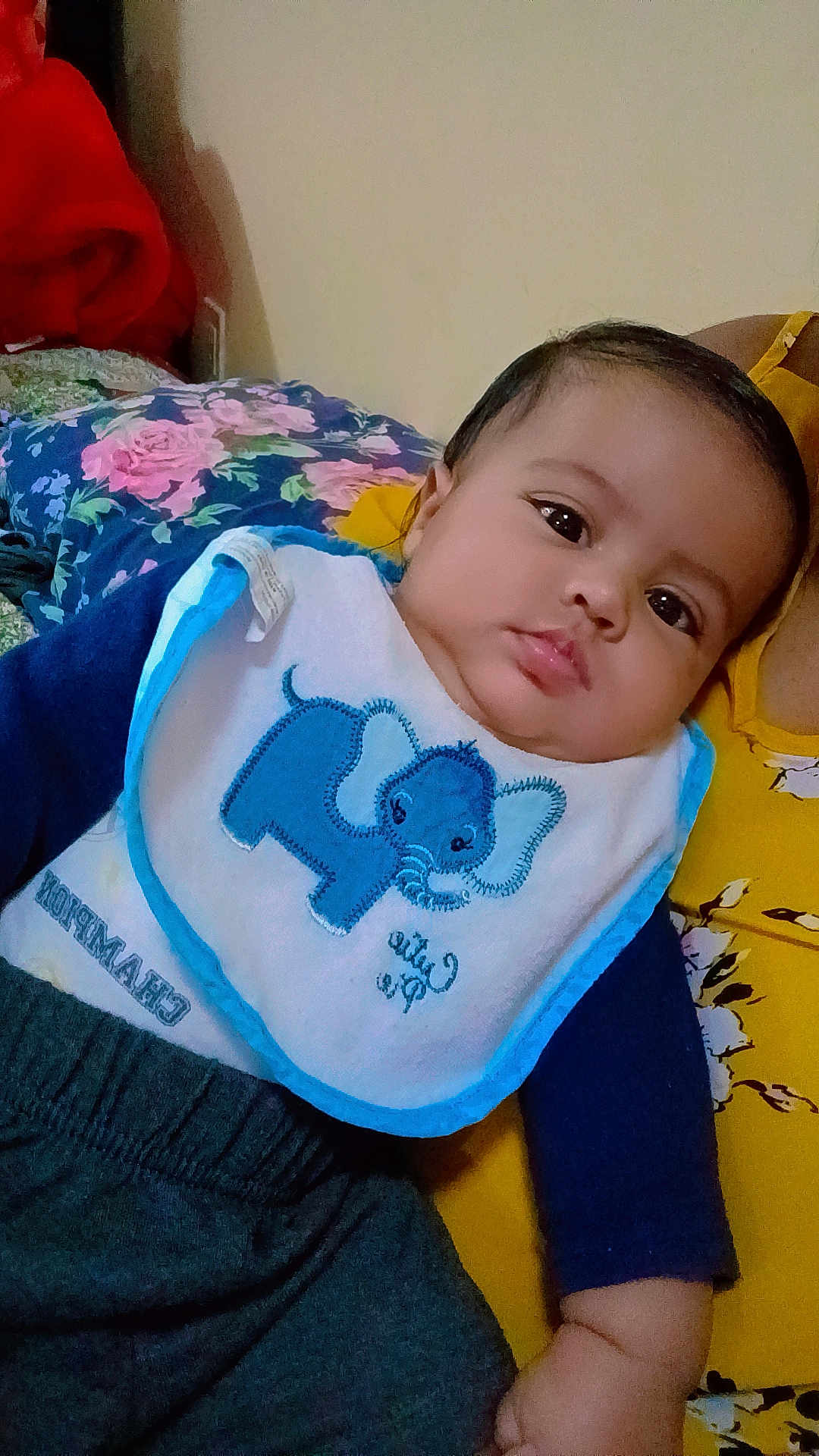 Zaylin is registered to the contest to win money with this photo: baby, infant, bib, elephant_design, clothing, yellow_fabric, floral_pattern, face, chubby_cheeks, dark_hair, indoor, portrait, cute, child, person, sitting, closeup, soft_lighting, cozy, casual_wear