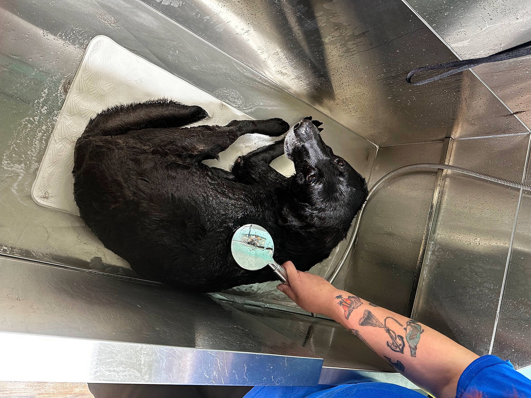 Moonshine joined the competition — help win amazing prizes! arm, automotive_design, automotive_exterior, black_hair, bumper, comfort, elbow, finger, foot, gesture, glove, hand, human_body, human_leg, knee, nail, thigh, tints_and_shades, vehicle_door, wrist