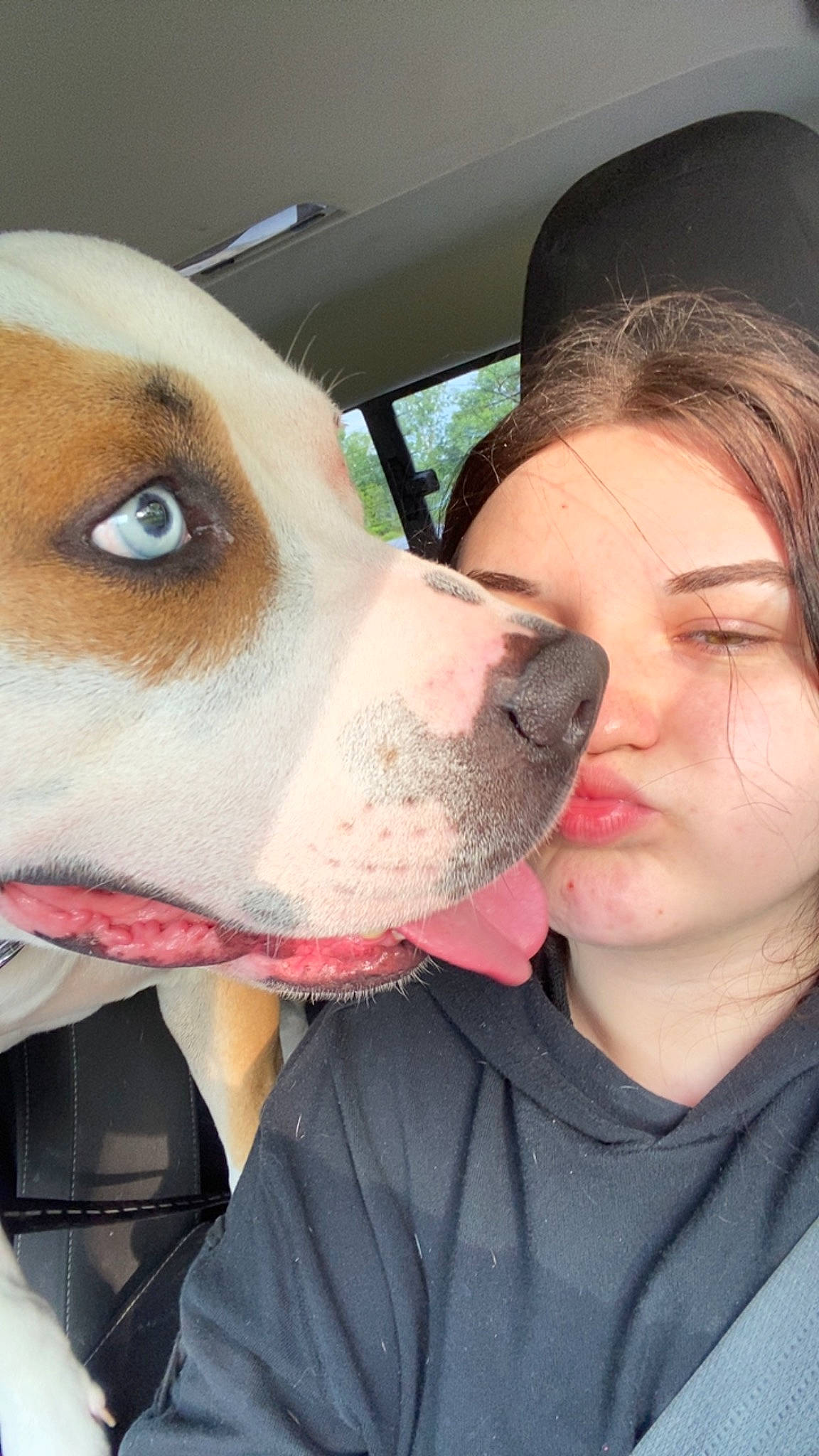 Rocky is registered to the contest to win money with this photo: carnivore, companion_dog, dog, dog_breed, ear, eyelash, eyewear, fawn, fun, fur, happy, jaw, nose, organ, puppy_love, selfie, snout, sporting_group, throat, working_animal