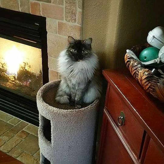 Lucy