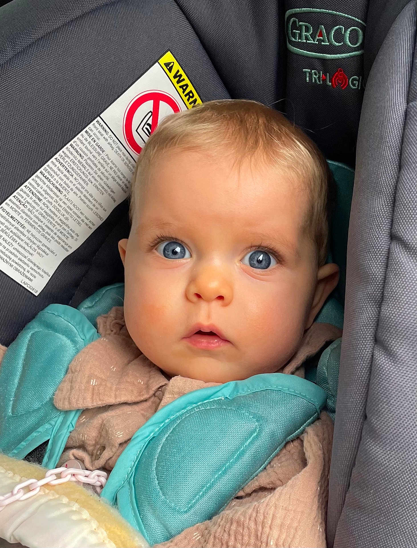 Jade a rejoint le concours — aidez-le/la à gagner de superbes lots ! baby, blue_eyes, car_seat, child, close_up, curious, cute, face, infant, padded_straps, pink_clothing, portrait, seatbelt, sitting, soft_texture, warning_label, young_child, indoor, person, looking_at_camera