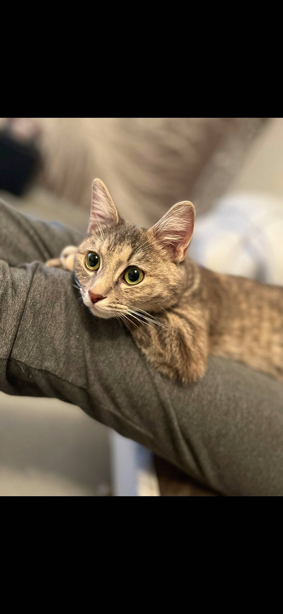 Sweetie