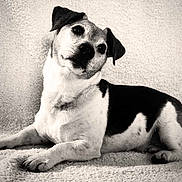 Ulysse a rejoint le concours — aidez-le/la à gagner de superbes lots !