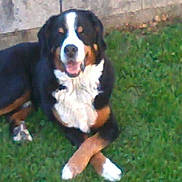 Ulysse participe au concours pour gagner de l'argent avec cette photo :