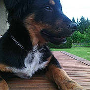 Jack participe au concours pour gagner de l'argent avec cette photo :