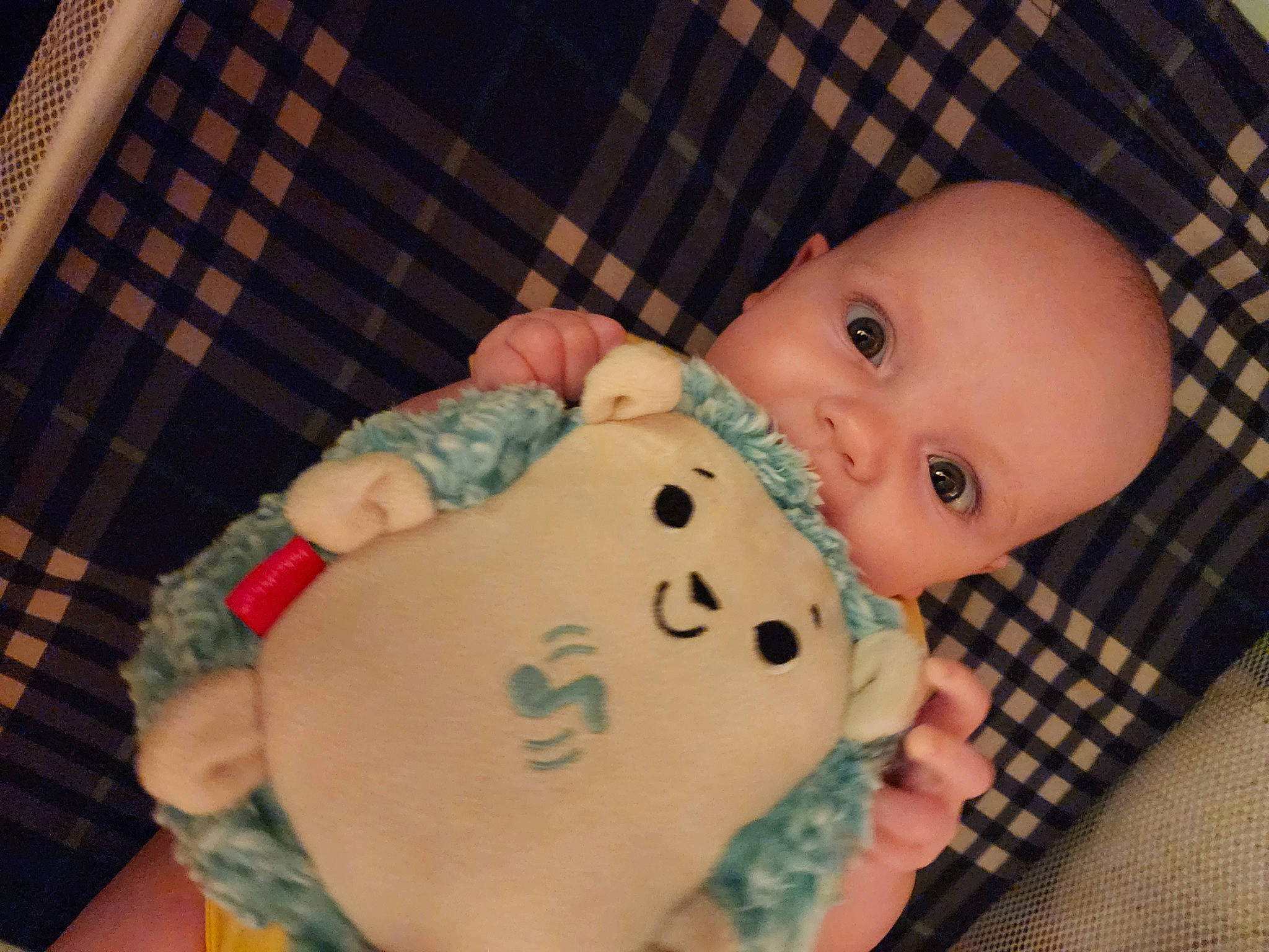 Lainey is registered to the contest to win money with this photo: baby, baby_products, baby_toddler_clothing, cheek, child, chin, comfort, facial_expression, happy, human_body, icing, mouth, pattern, person, sitting, skin, sleeve, textile, thumb, toddler