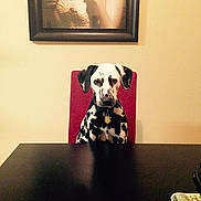 Domino is registered to the contest to win money with this photo: