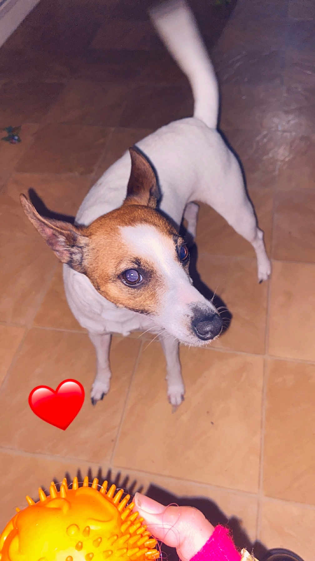 Ruby