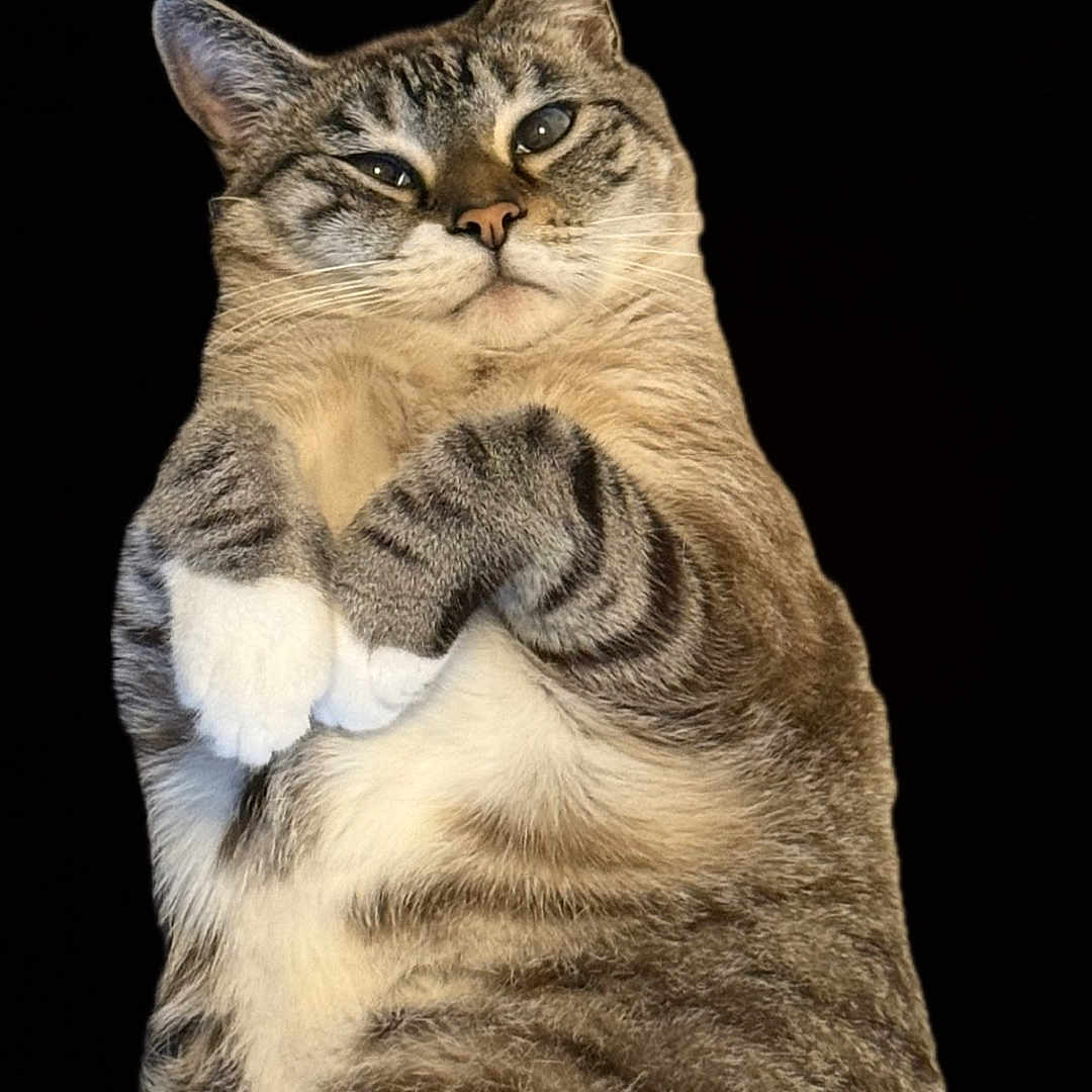 Gus