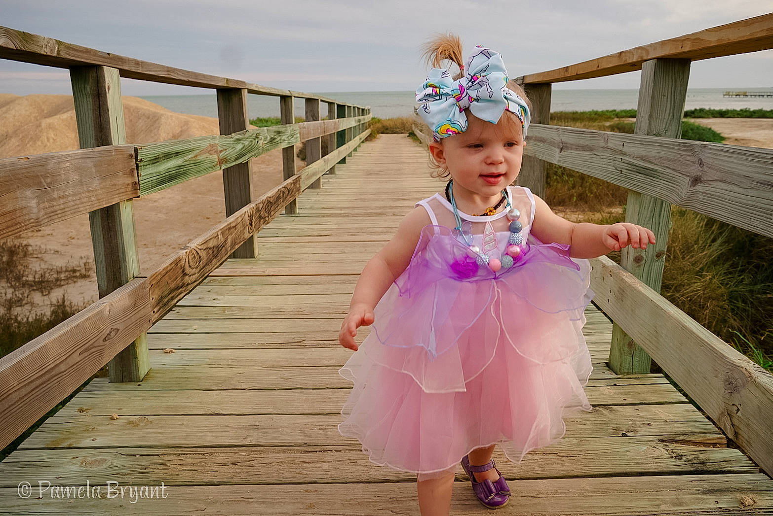 Keagan joined the competition — help win amazing prizes! beauty, child, child_model, clothing, costume, dress, fashion_accessory, footwear, hair_accessory, happy, headgear, headpiece, headwear, person, photography, pink, plant, purple, shoe, toddler