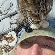 Hattie is registered to the contest to win money with this photo: animal, beard, blanket, blue_wall, cat, closeup, comfort, face, fur, hat, headwear, human, indoor, man, pet, relaxed, resting, sleepy, tabby_cat, whiskers