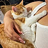 cat, orange_cat, white_cat, sleeping_cat, person, arm, hand, manicure, nail_art, white_tank_top, indoor, black_cushion, paper_bag, close_up, pet, animal, relaxation, comfort, affection, resting
