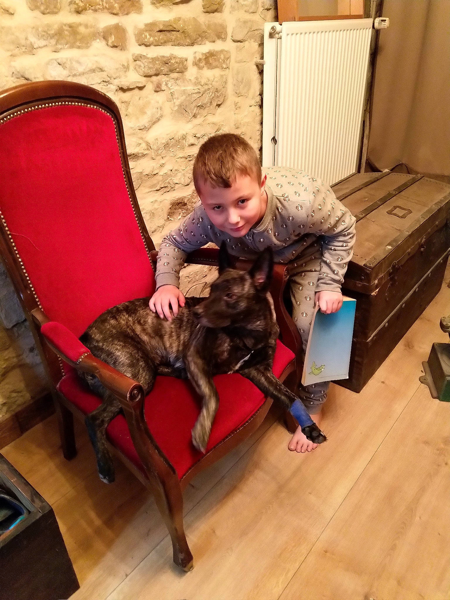 Tania participe au concours pour gagner de l'argent avec cette photo : chair, couch, dog, dog_like_mammal, floor, flooring, fur, furniture, girl, mammal, person, sitting