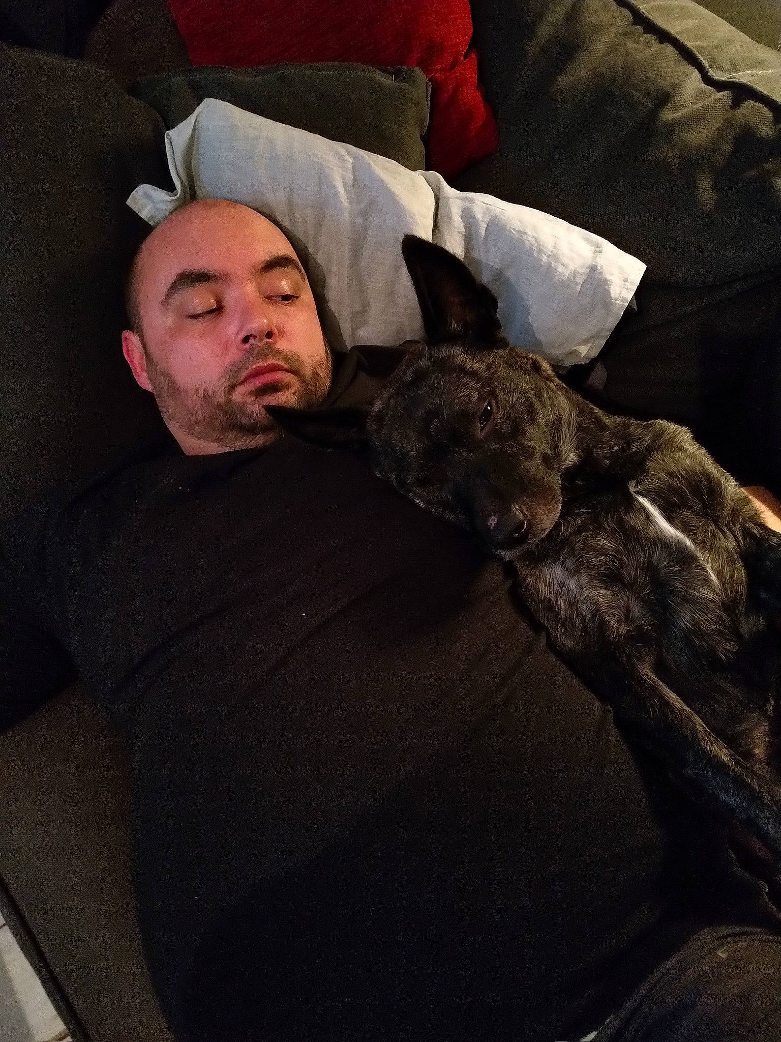 Tania a rejoint le concours — aidez-le/la à gagner de superbes lots ! facial_hair, fur, person, snout